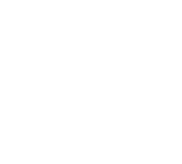 logo-renault-blanc